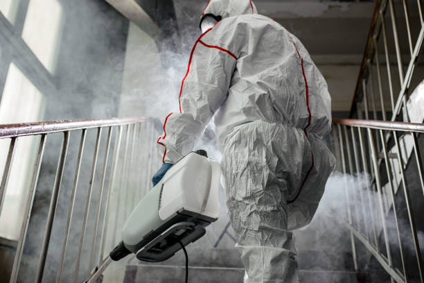 Professional Mold Removal in Farmersville, TX